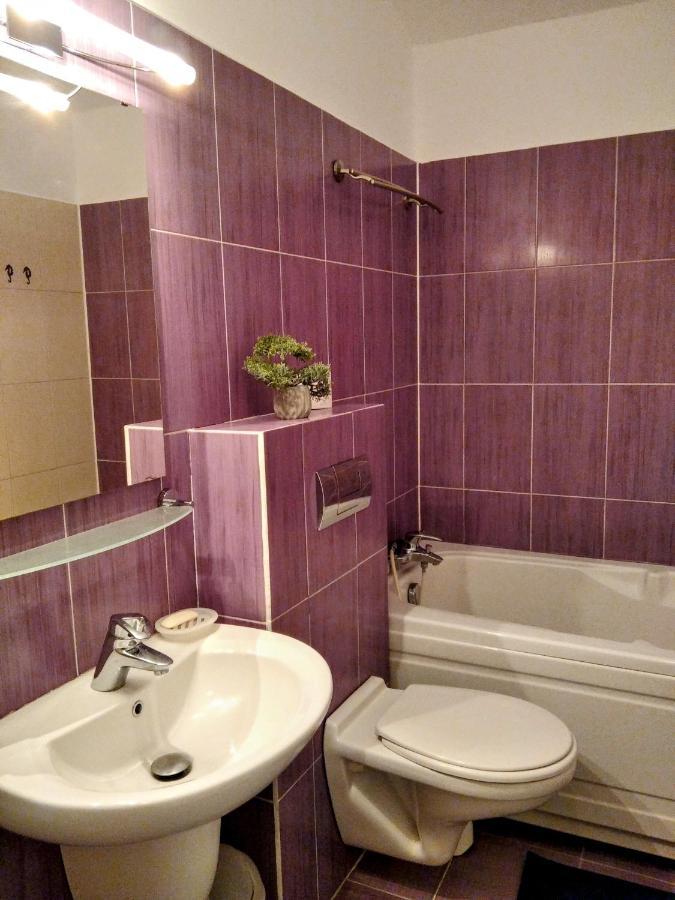 Lovely Central Apartment 브라쇼브 외부 사진